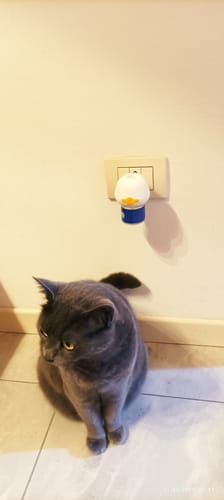 Roberto C. review of 2 Diffusori Calmanti PetNatura image 1 out of 1