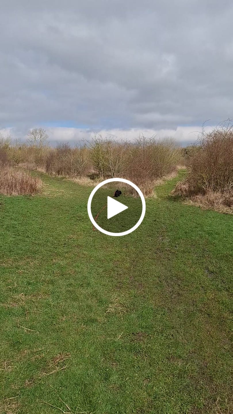 Customer video review of Tidal Waterproof Longline