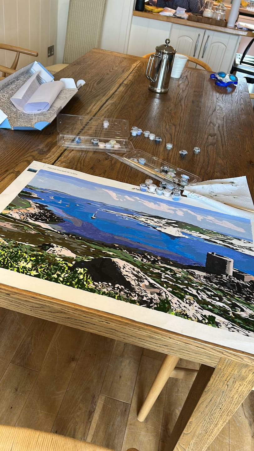 Customer photo review of Paint with Number® Custom Kit