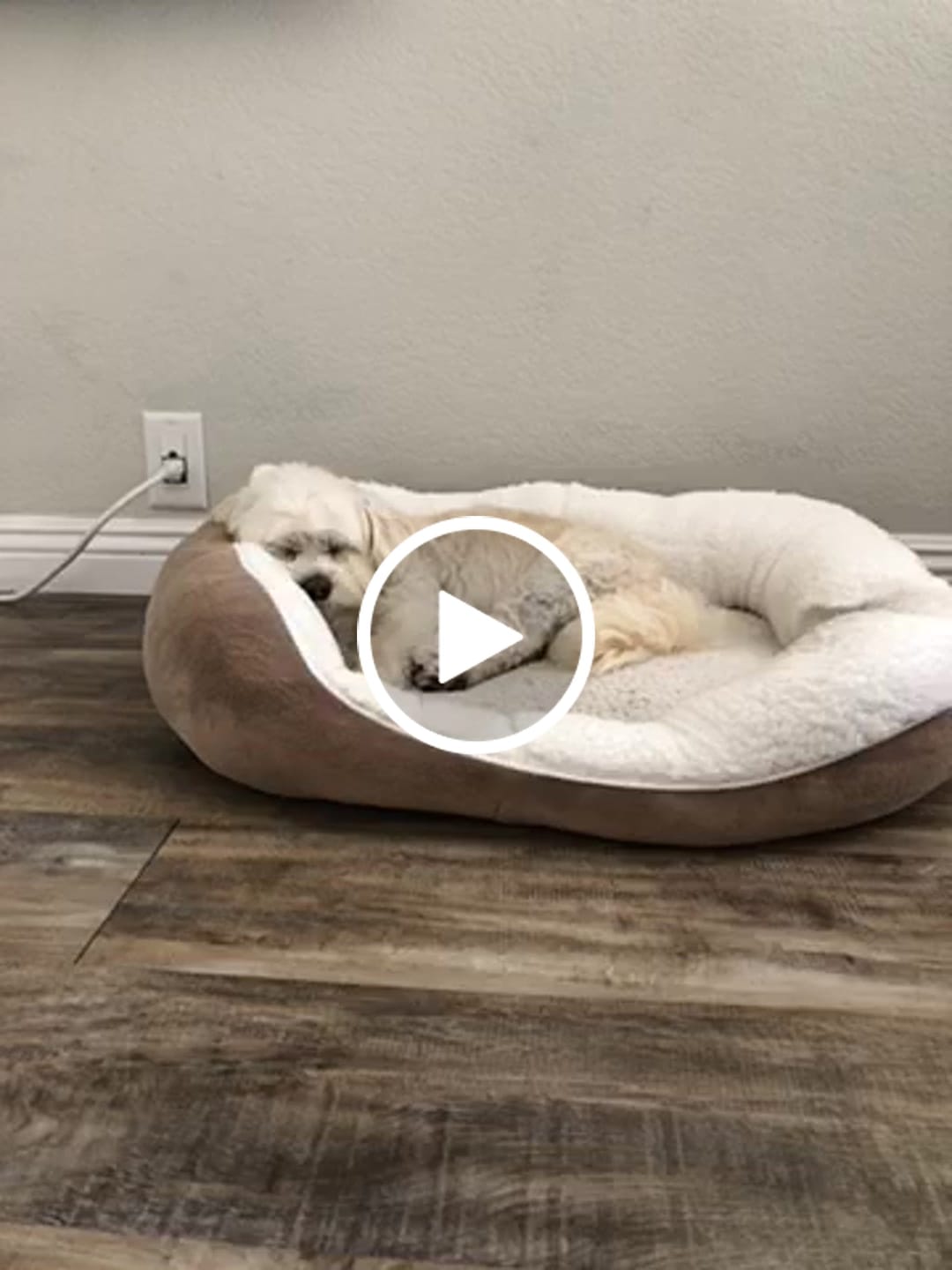 Customer video review of Pumpkin Chicken