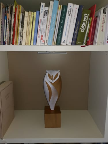 Customer photo review of Animal Wood Sculpture #WA048