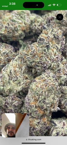 Customer photo review of Purple Push Value Indoor THCA Flower Full Size Buds