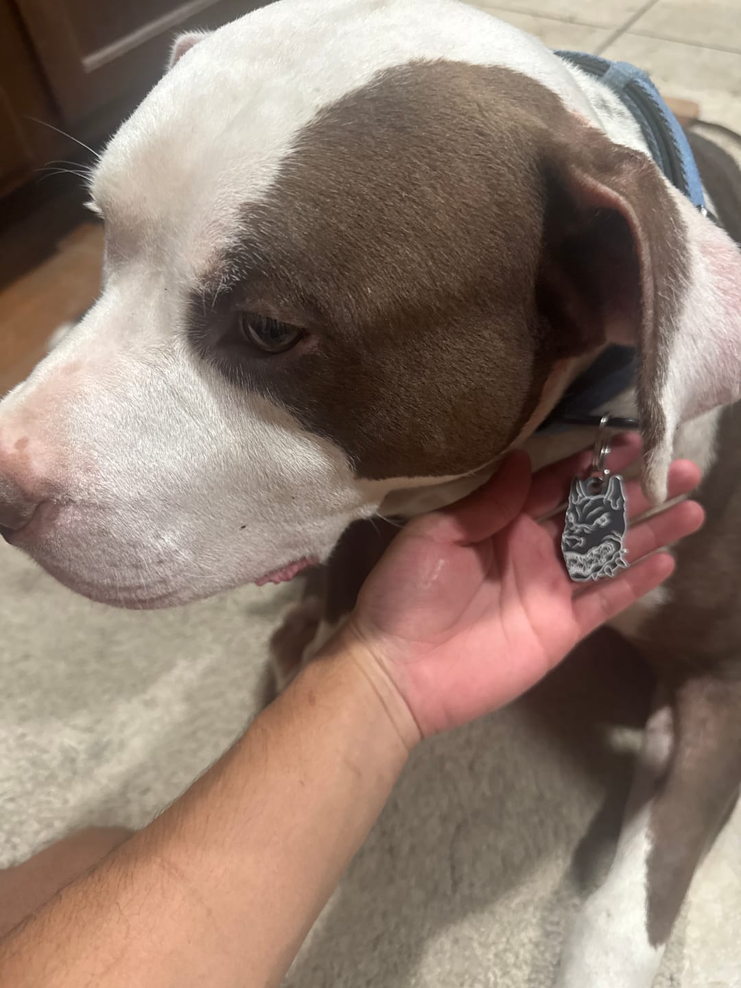 Customer photo review of PET TAG