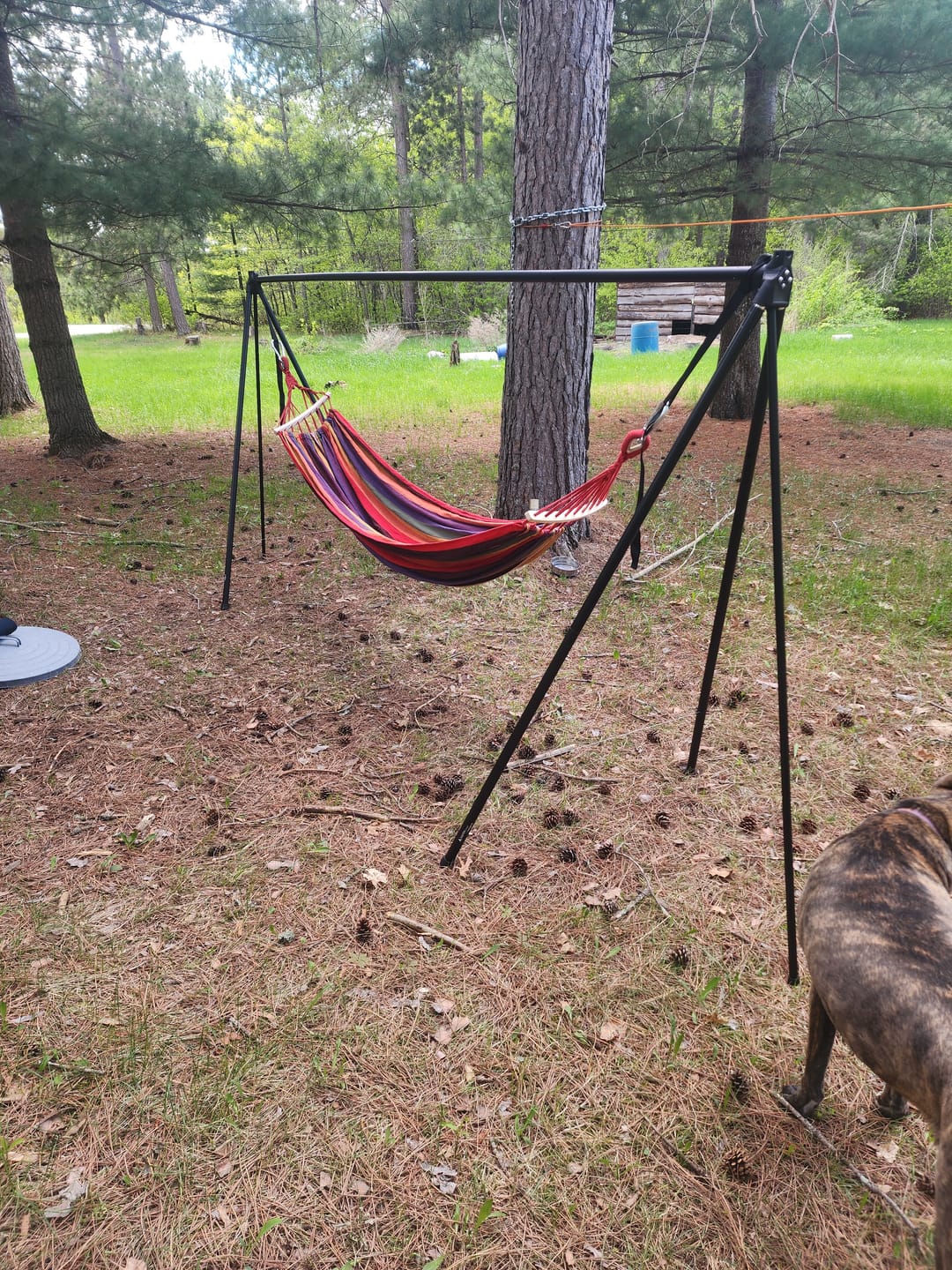 Customer photo review of Haven Stand by YOBOGear