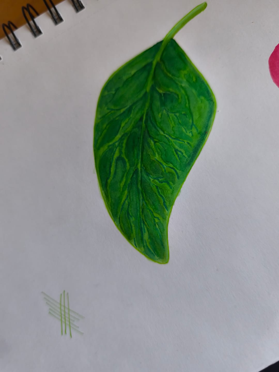 Customer photo review of Ohuhu Hana Highway Fineliner Drawing Pens,18 Pack