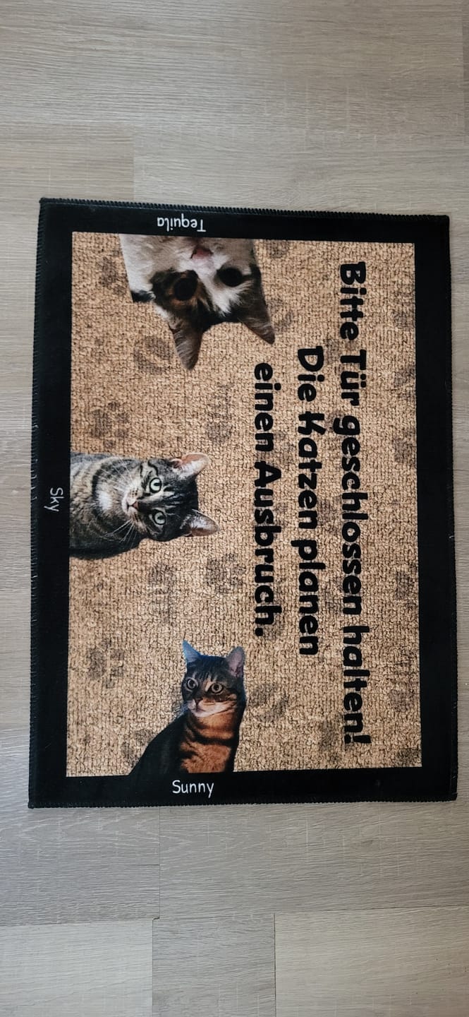Customer photo review of Katzen planen einen Ausbruch - Individuelle Fußmatte