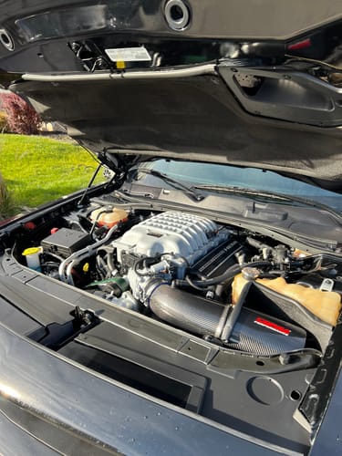 Customer photo review of Solution Gallon
