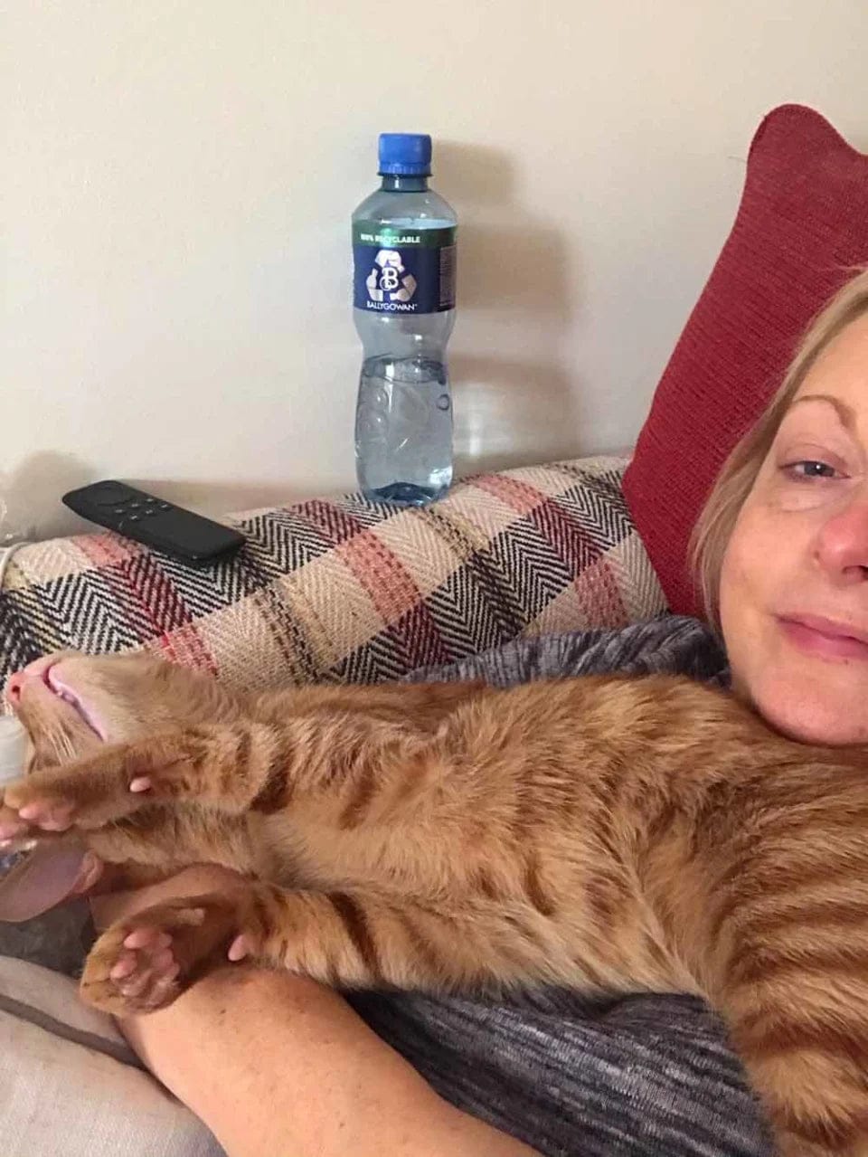 Customer photo review of Feline Biome™ - Probiotic Cat Supplement