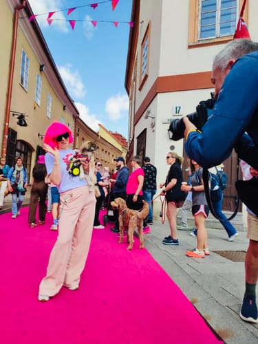 Rasa Z. review of Marškinėliai ŠALTIBARŠČIAI image 1 out of 1