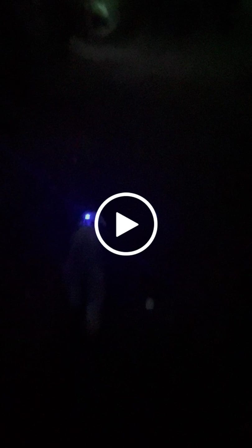 Customer video review of TrekBright® Dog Safety Light