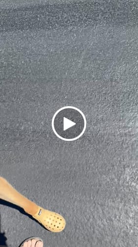 Customer video review of WagWellies® Mojave