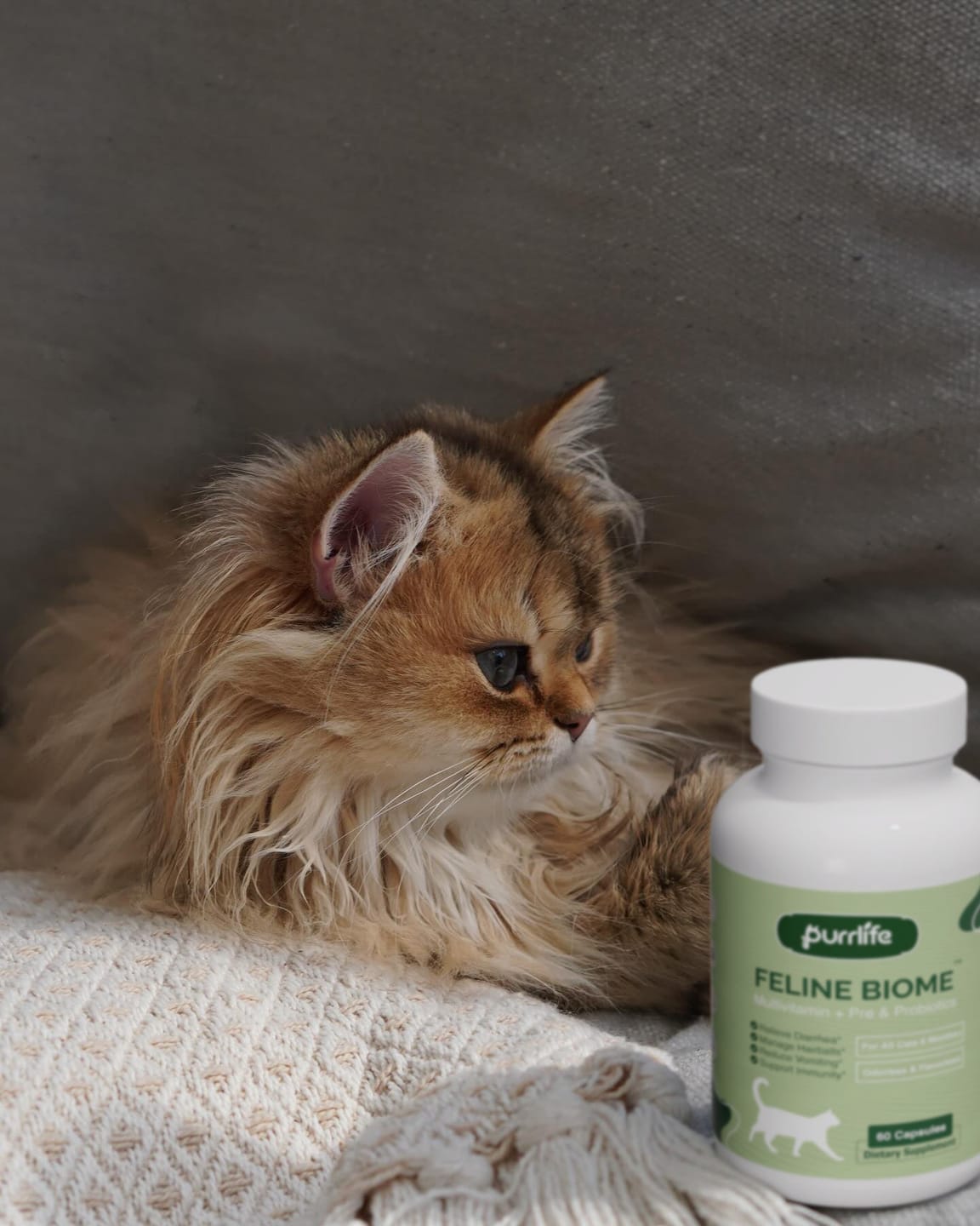 Customer photo review of Feline Biome™