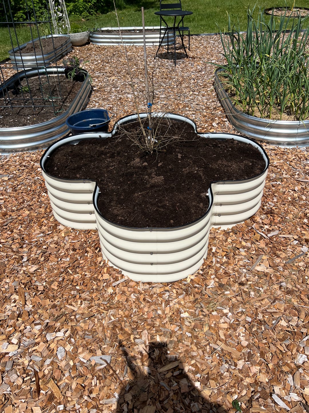Customer photo review of 17" Tall Four Leaf Clover
