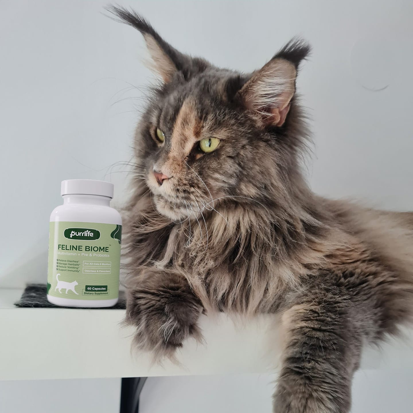 Customer photo review of Feline Biome™ - Probiotic Cat Supplement