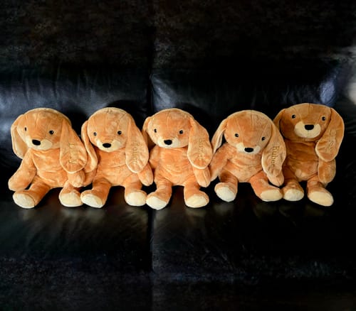 Customer photo review of Verzekerde verzending