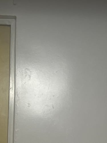 Customer photo review of Seyoul™ Suero 21 Días - H01