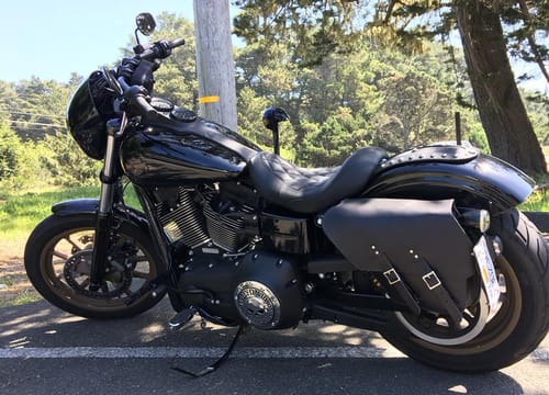 Customer photo review of H-D® Dyna Left Side Solo Bag - DL01