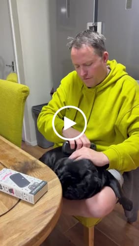 Customer video review of Deshedding Brush (Black)