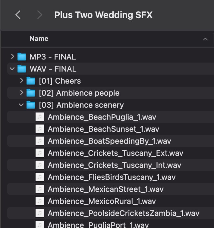 Customer photo review of Wedding SFX pack