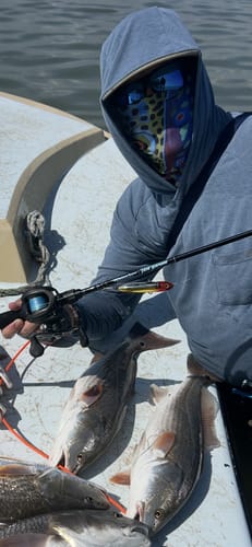 Customer photo review of Waterloo Tide Series