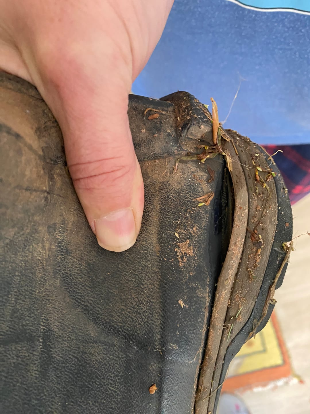 Customer photo review of Stratus Wellingtons Black