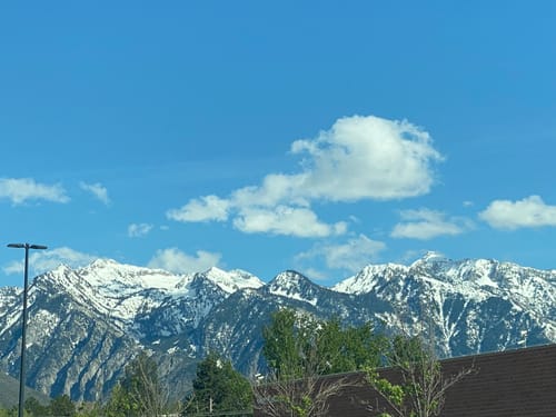 Customer photo review of Elderberry CBD Night Gummies