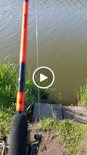 Customer video review of 10' FEEDER ROD AND REEL COMBO