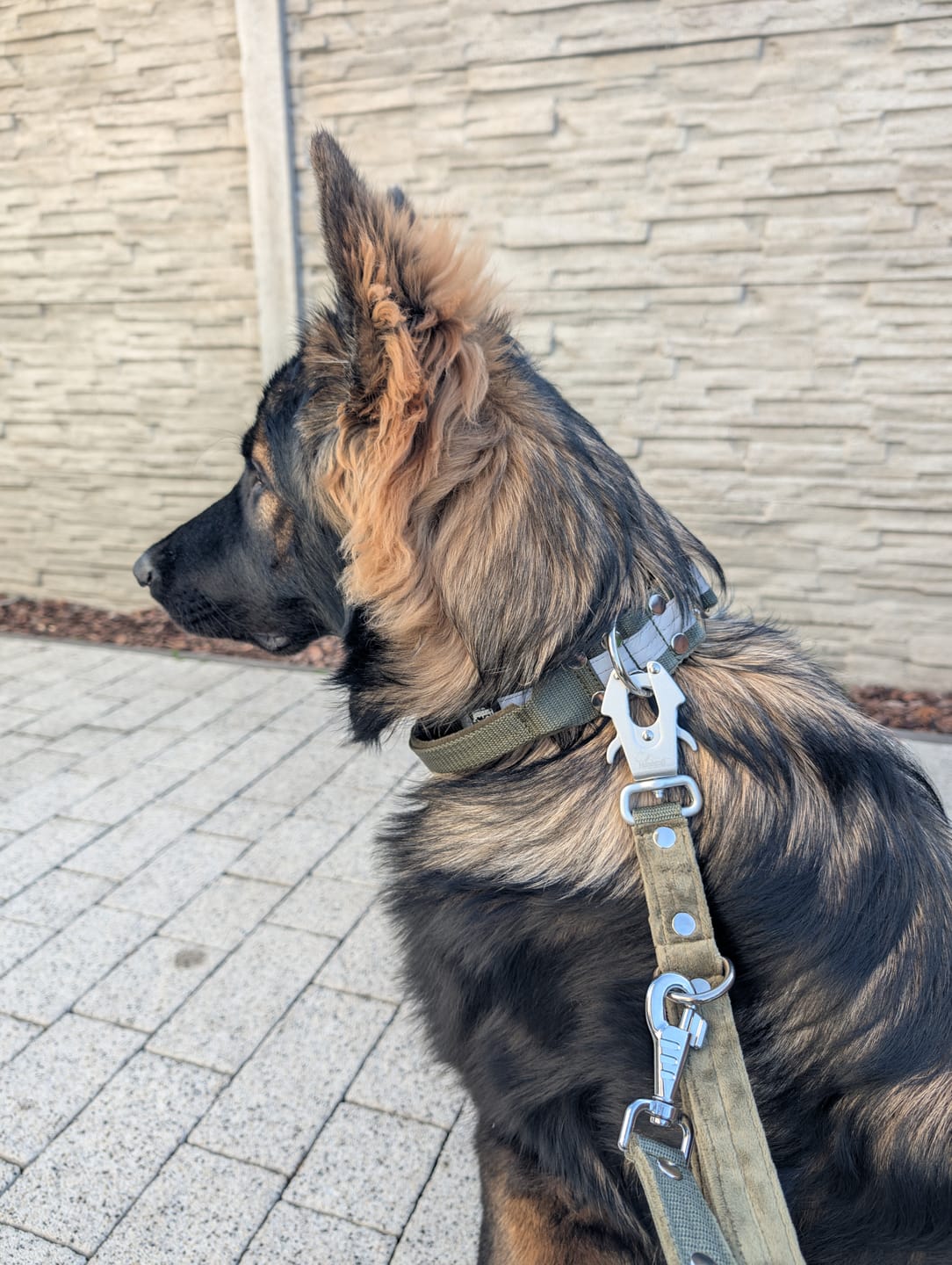 Customer photo review of Smycz przepinana z dodatkową raczką - Multi Guard Leash Khaki