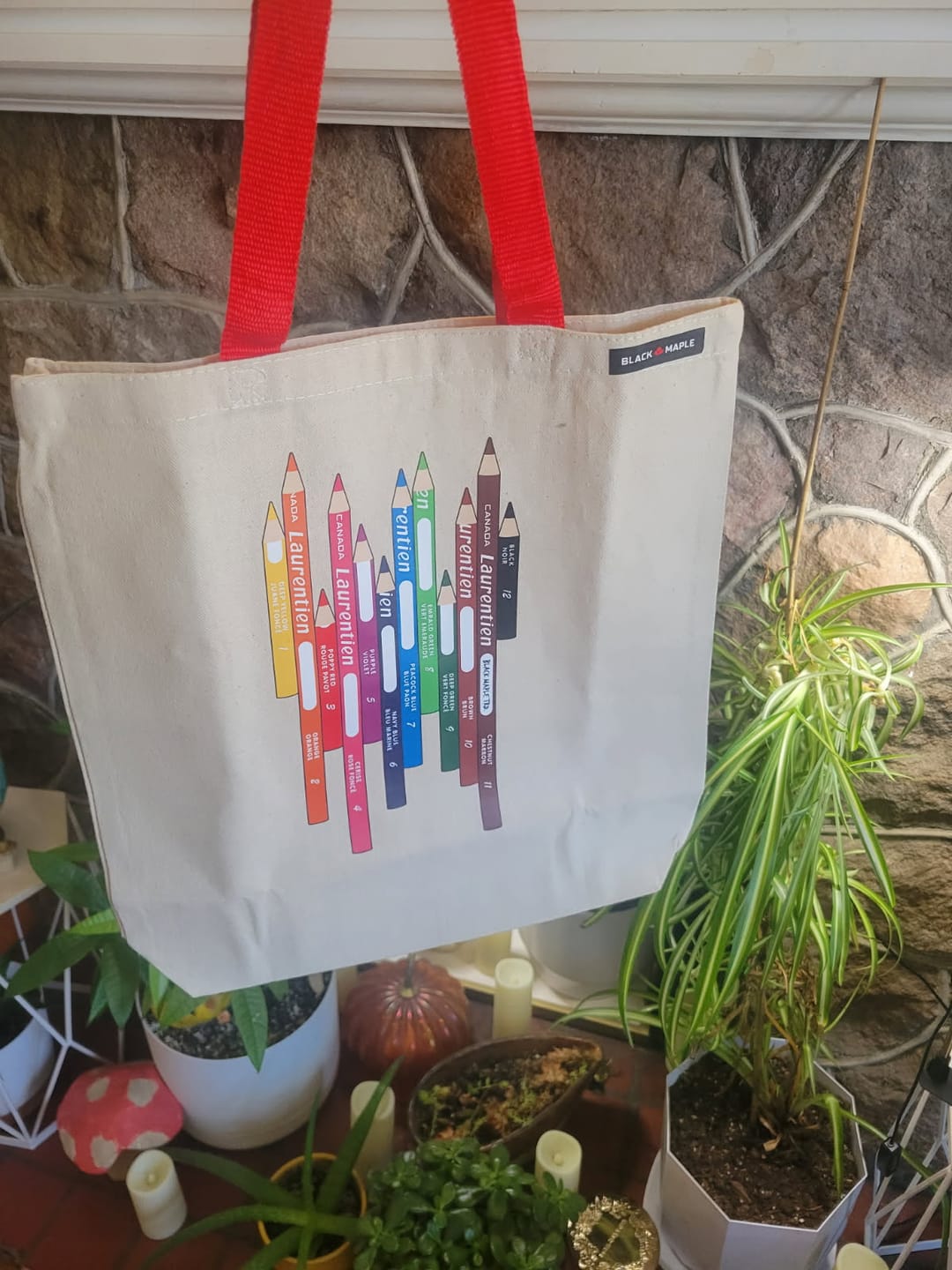 Customer photo review of Laurentien Coloured Pencils Canvas Tote