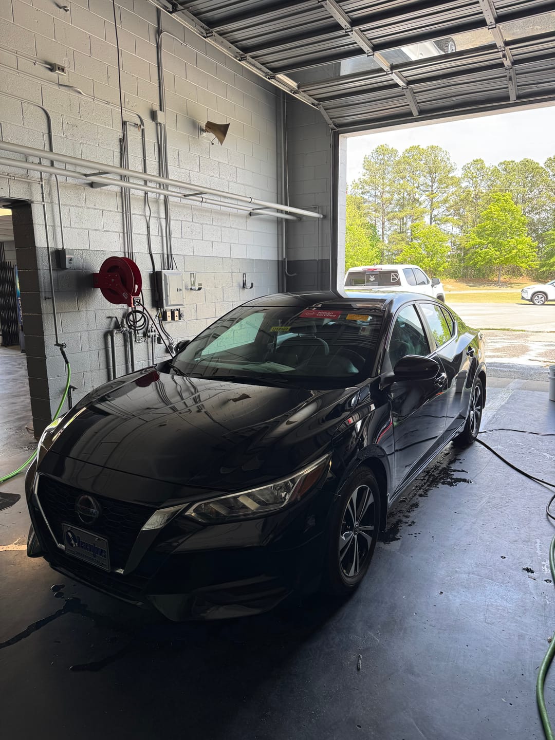 Customer photo review of Sun Shine Gallon