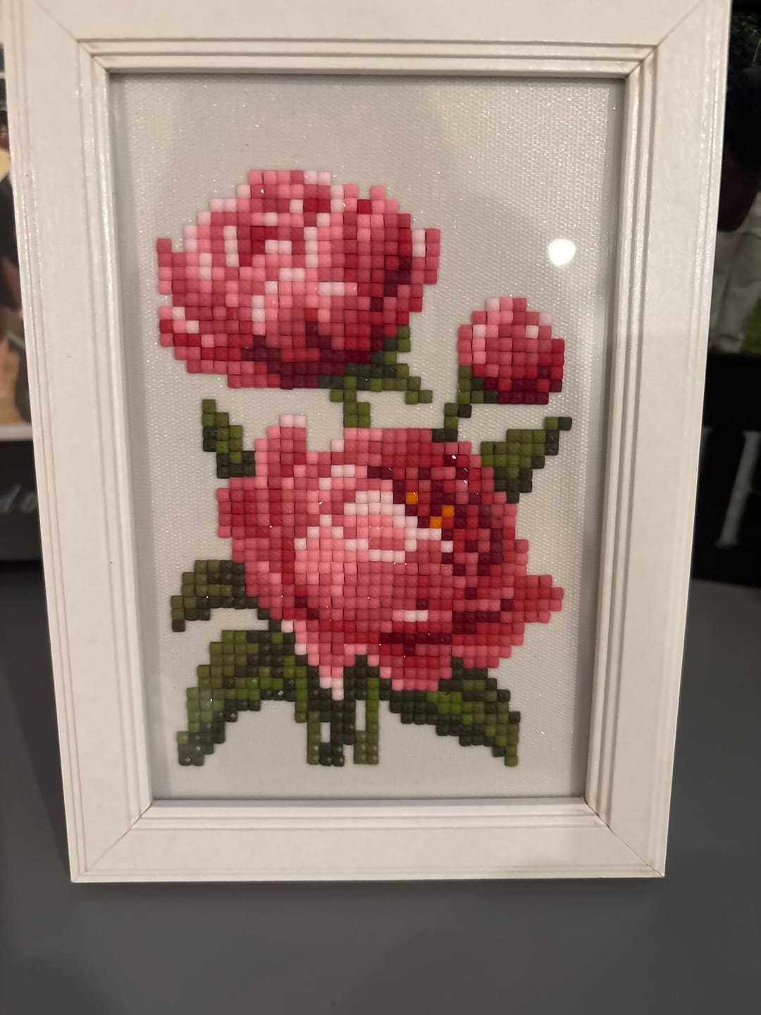 Customer photo review of Garden Set
