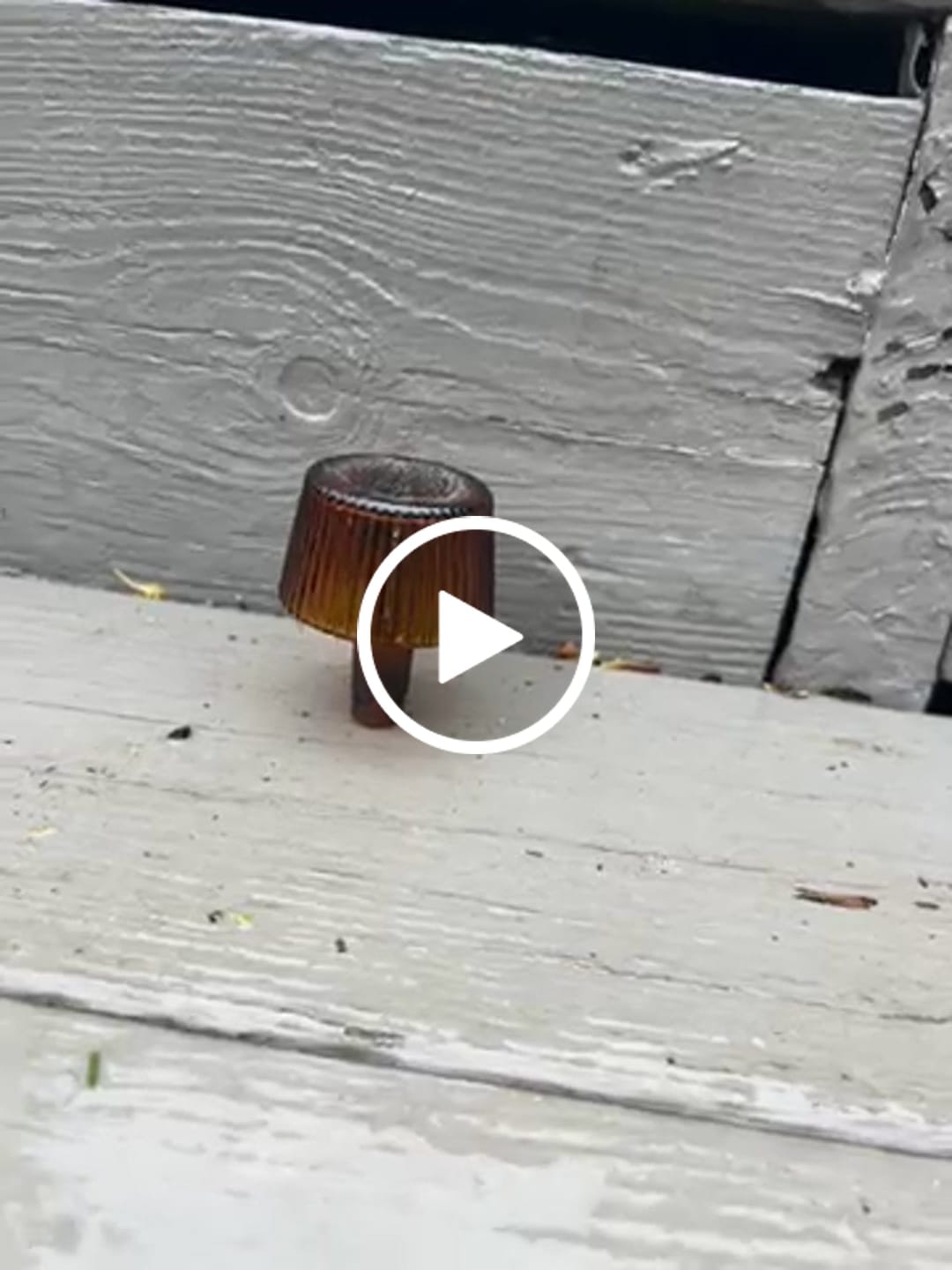 Customer video review of Deco Bowl
