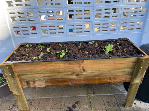Customer photo of their LARGE Raised Garden Bed on Legs