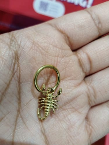 Customer photo review of Aretes Scorpio
