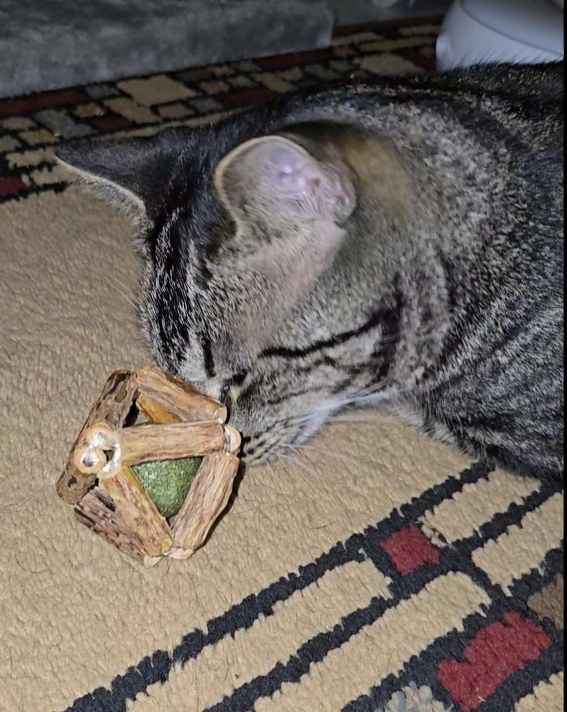 Customer photo review of Premium Silvervine and Catnip Rattle Balls (3 ct)