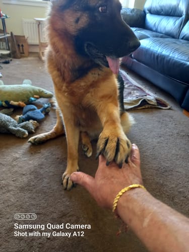 Customer photo review of 2 Tibetan Bracelets of Fortune