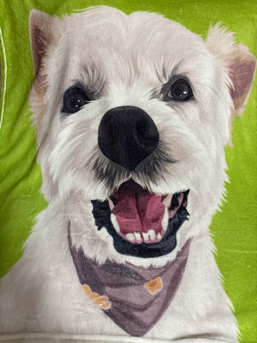 Customer photo review of うちの子ブランケット