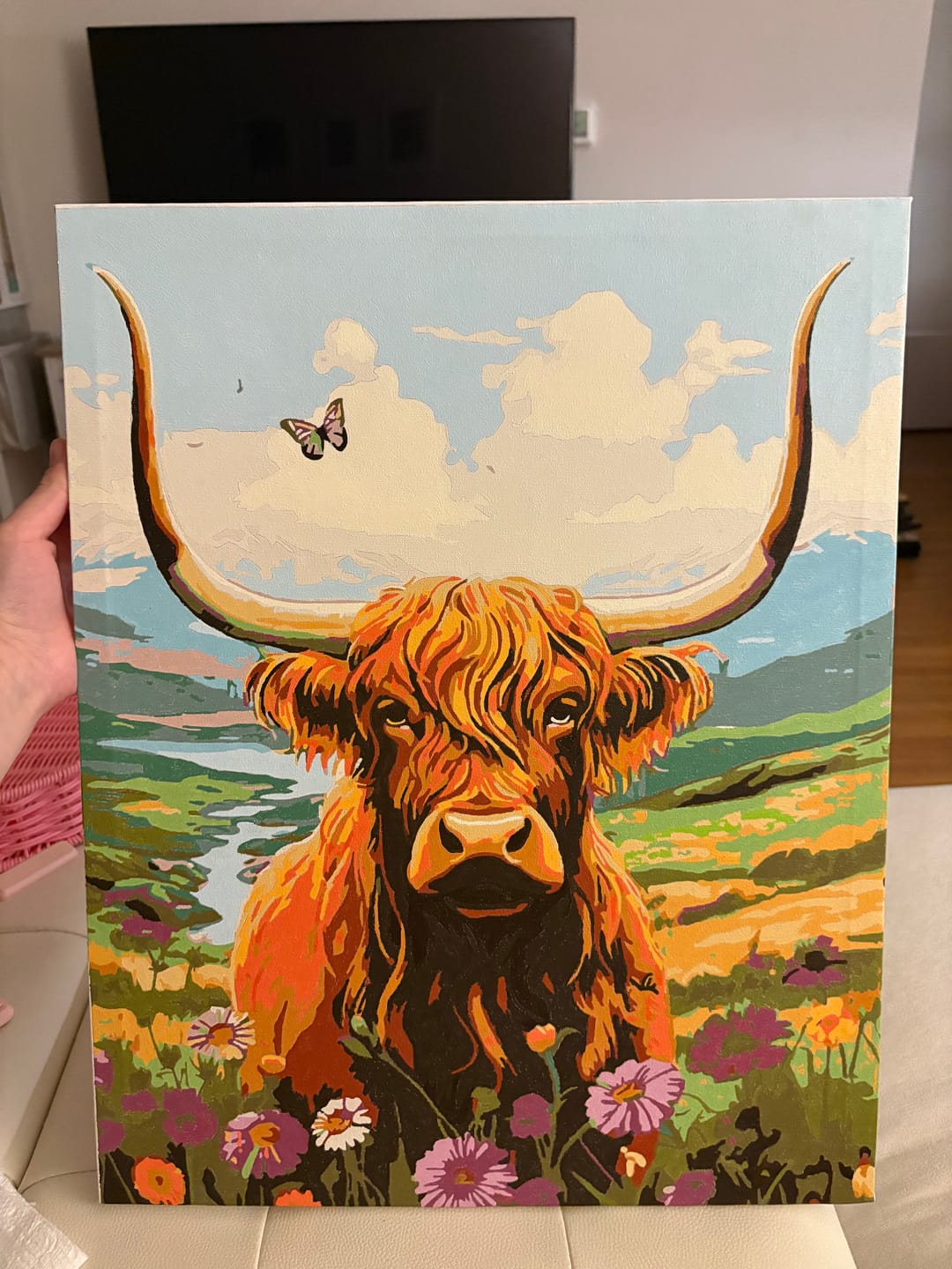 Customer photo review of Highlands Cow