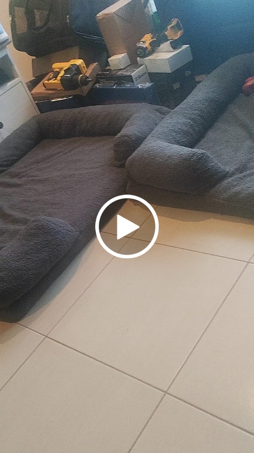 Customer video review of PaWz Pet Boucle Bed for Dog & Cat