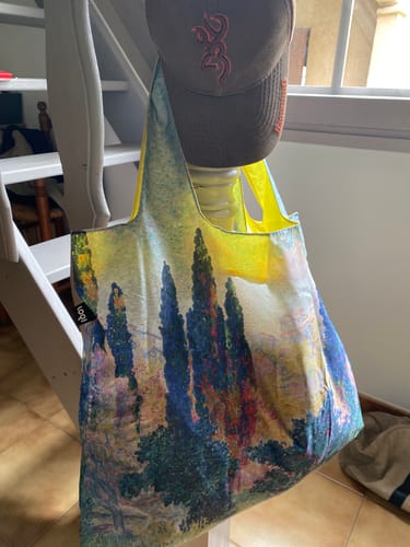Customer photo review of HENRI EDMOND CROSS The Cypresses at Cagnes Recycled Bag