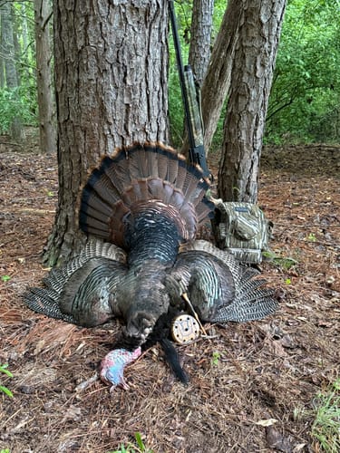 Customer photo review of The Hybrid Pack