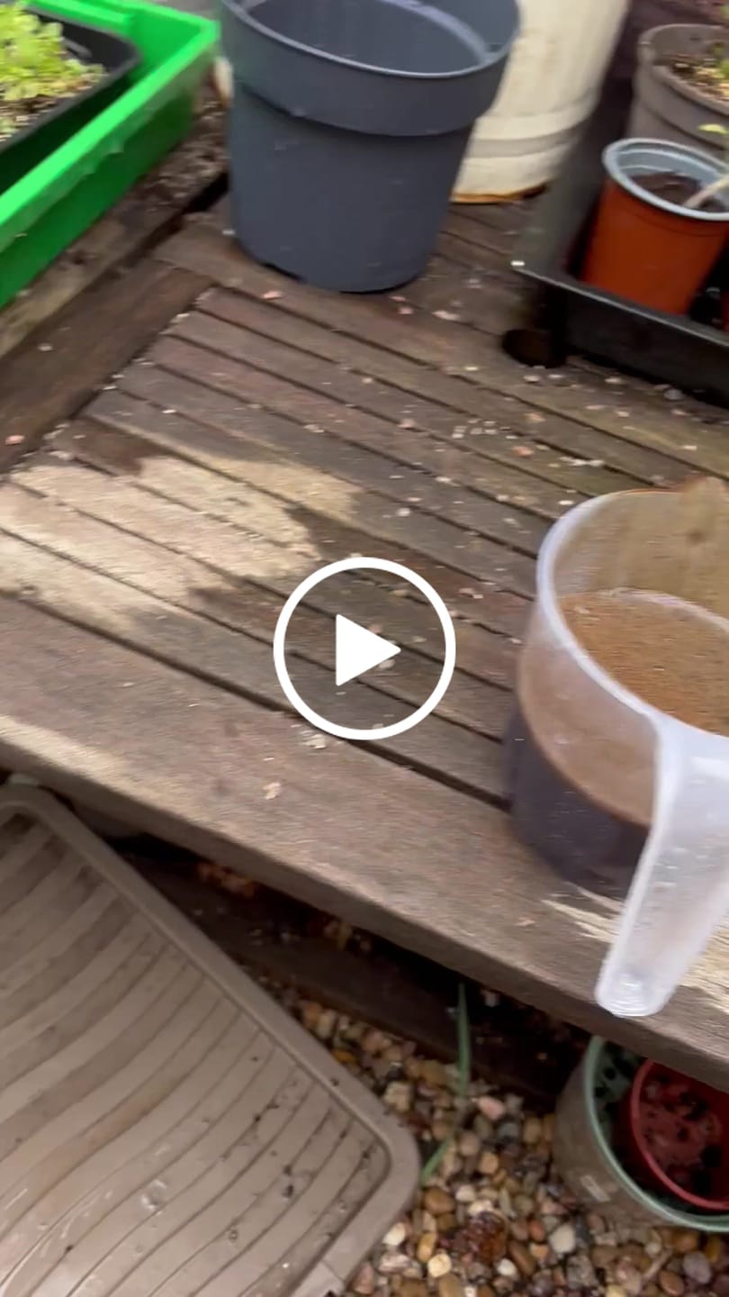 Customer video review of Natural Liquid Fertiliser 10L