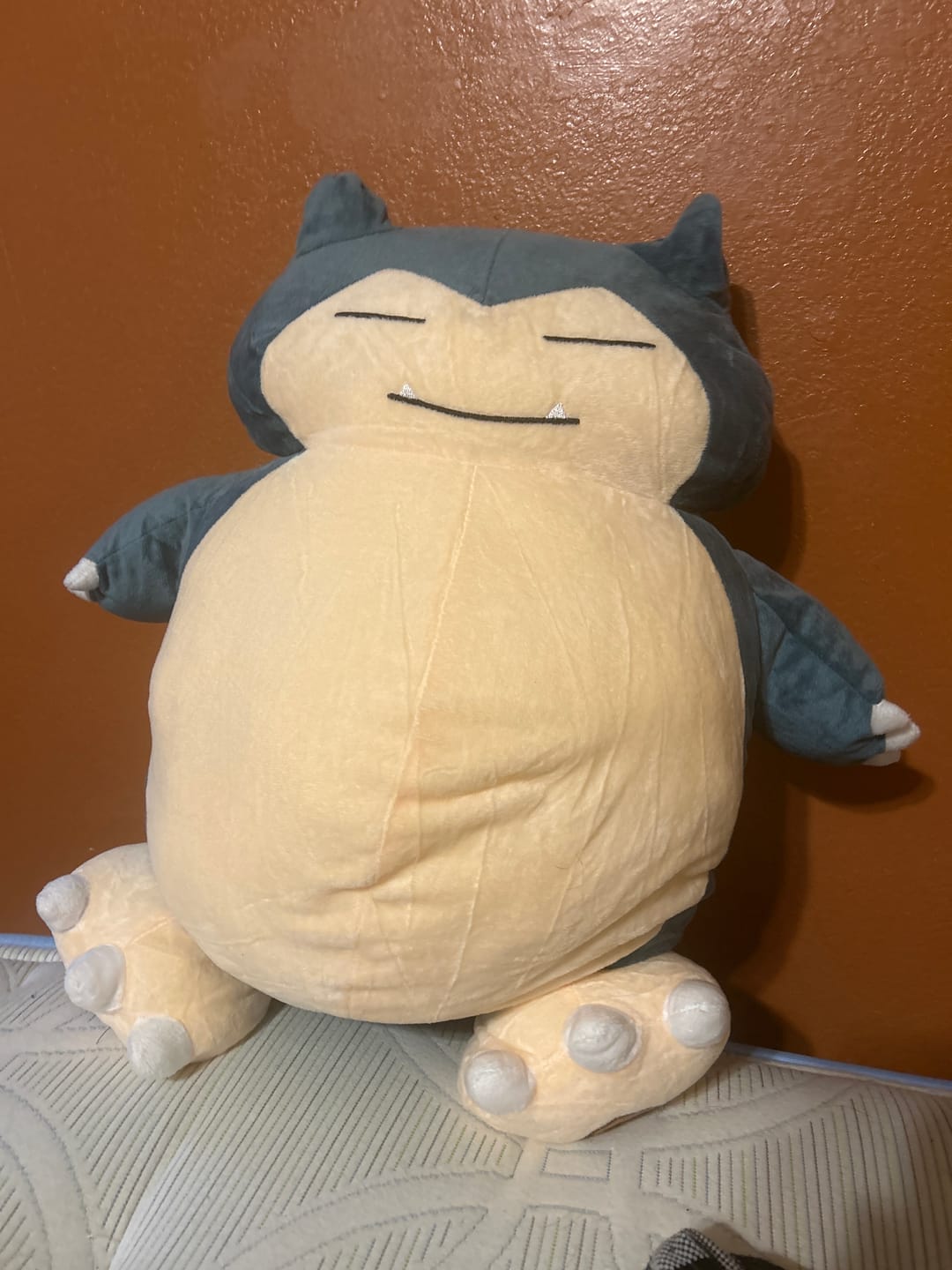 Customer photo review of Snorlax Plushie (6 SIZES)