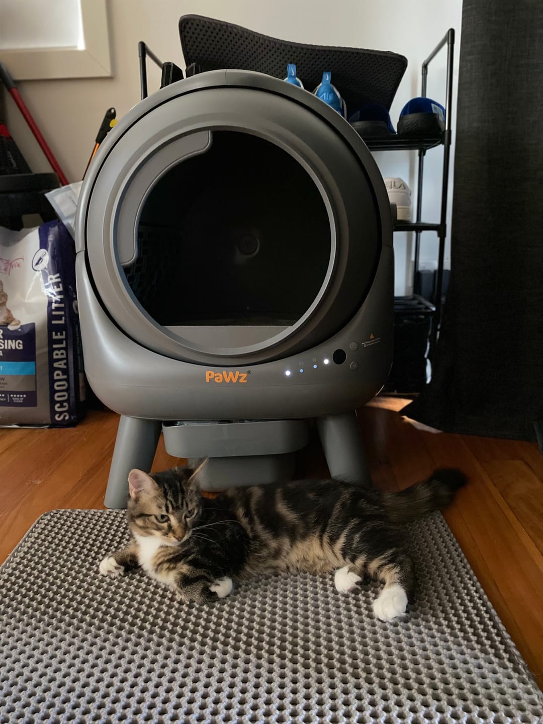 Customer photo review of PaWz AutoClean Lite Automatic Self Cleaning Cat Litter Box