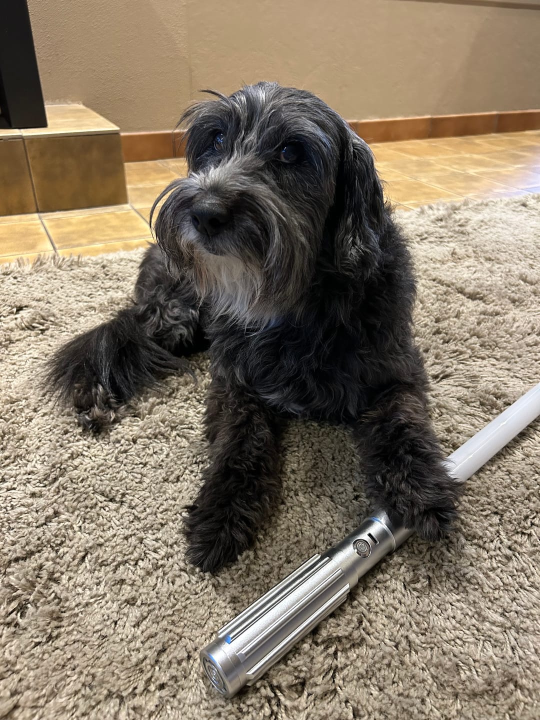 Customer photo review of ‍Combat Saber Blade - 1 inch (100% off)