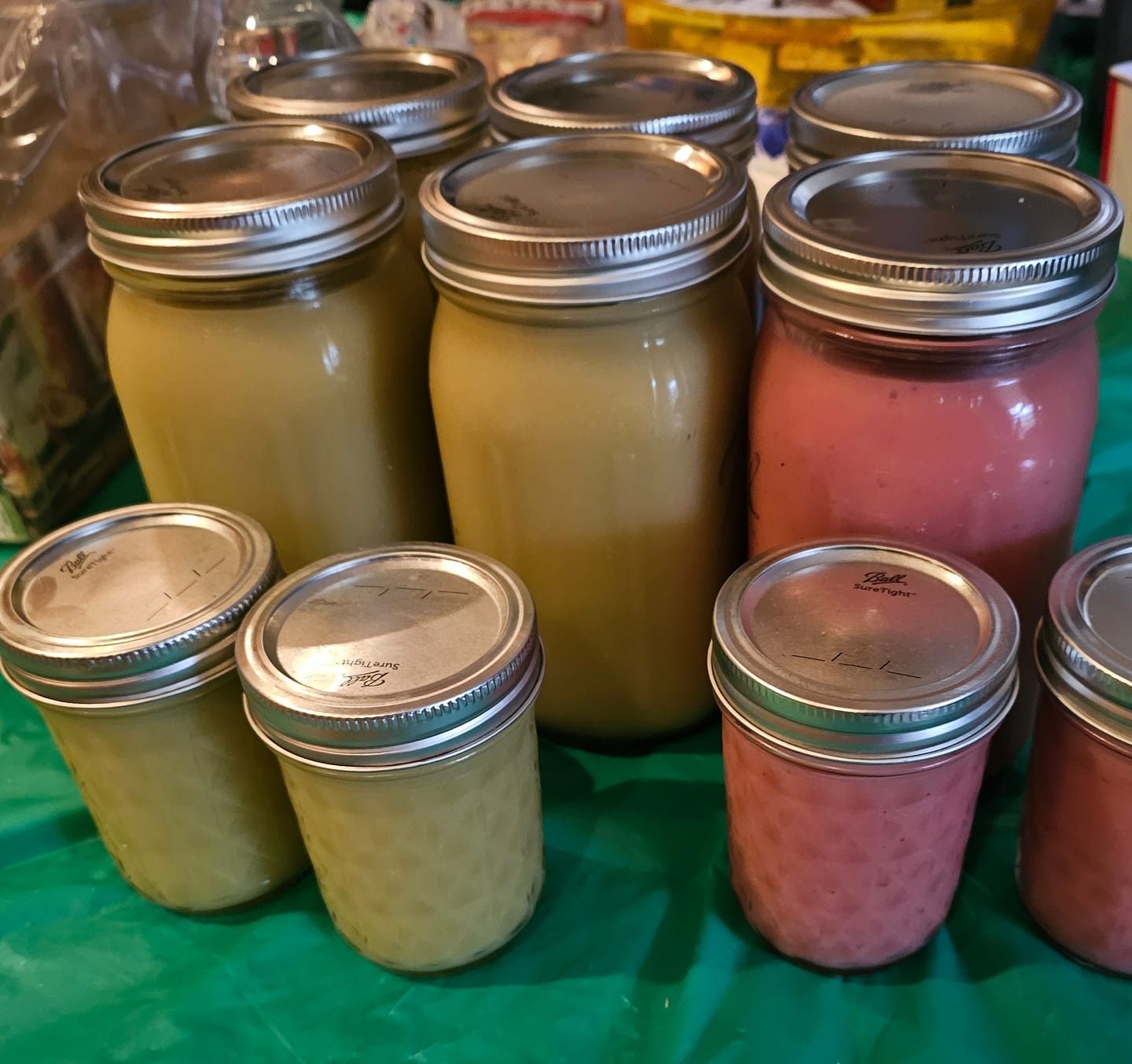 Customer photo review of Premium Green Wildcrafted Raw Sun dried Sea Moss