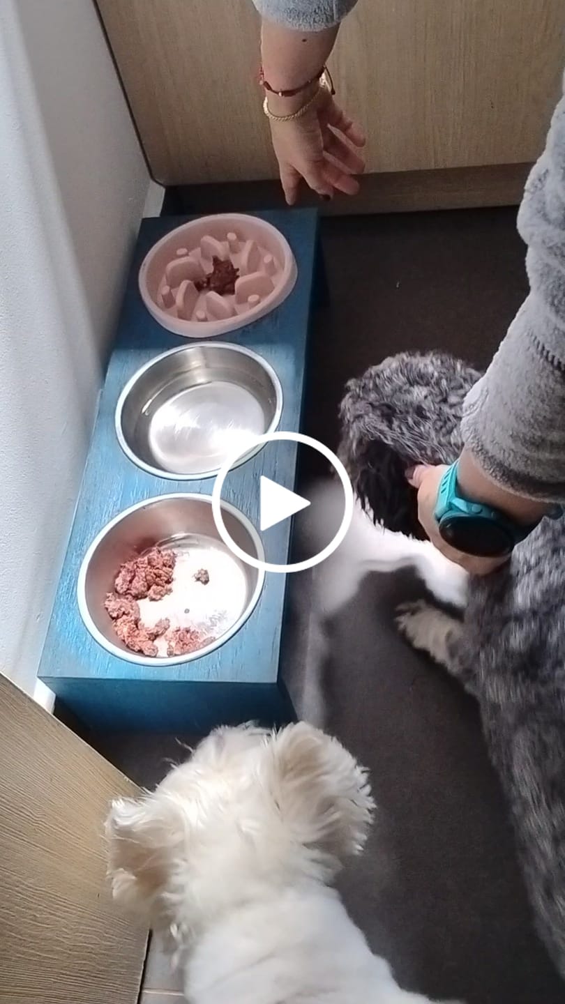 Customer video review of Palitroques tocino y avena 150g