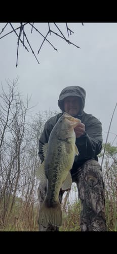 Customer photo review of Panfish Pre-Built Rod