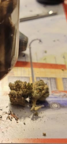 Customer photo review of Platinum Lemon Gusher
