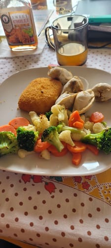 Customer photo review of Air Fryer Novio Grill & Fry